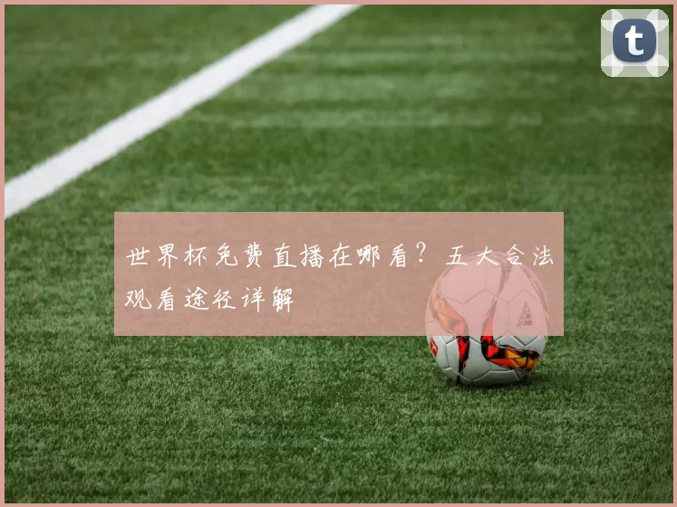 世界杯免费直播在哪看?五大合法观看途径详解