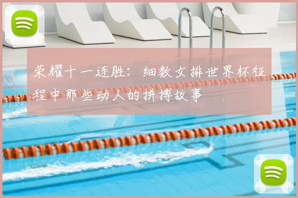荣耀十一连胜：细数女排世界杯征程中那些动人的拼搏故事