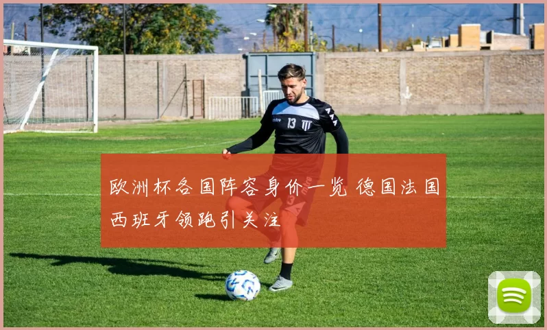 欧洲杯各国阵容身价一览 德国法国西班牙领跑引关注