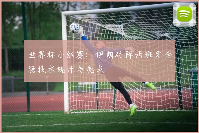 世界杯小组赛：伊朗对阵西班牙全场技术统计与亮点