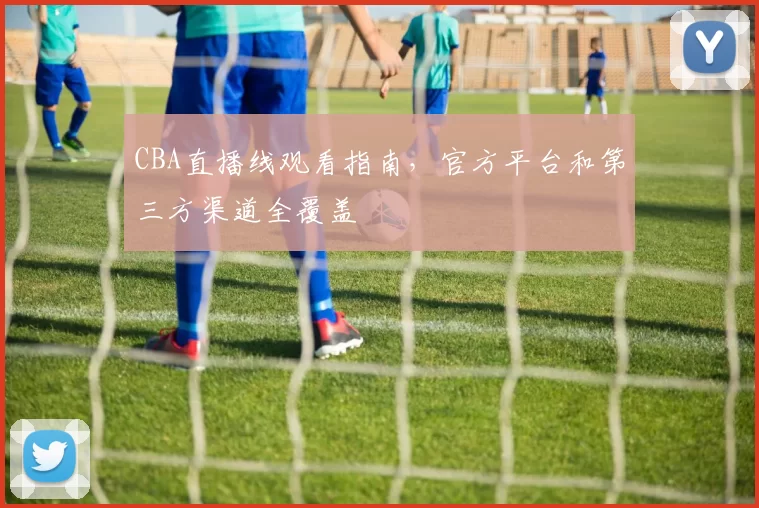 CBA直播线观看指南，官方平台和第三方渠道全覆盖