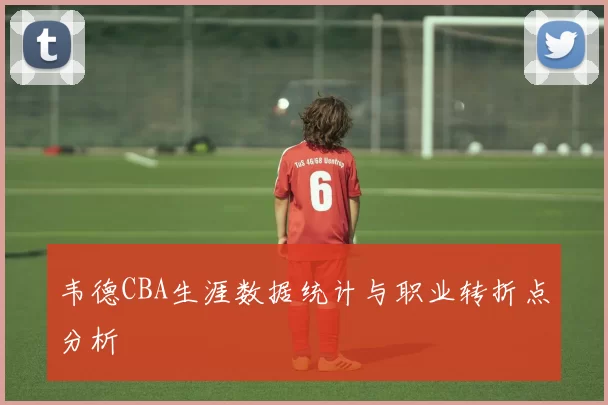 韦德CBA生涯数据统计与职业转折点分析