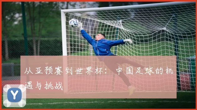 从亚预赛到世界杯：中国足球的机遇与挑战