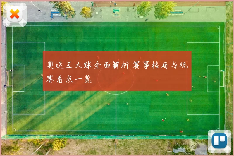 奥运五大球全面解析 赛事格局与观赛看点一览