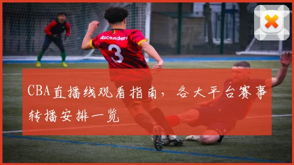 CBA直播线观看指南，各大平台赛事转播安排一览